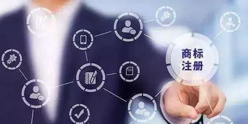 智慧應對商標查詢的盲查期 信息咨詢服務的策略與指南